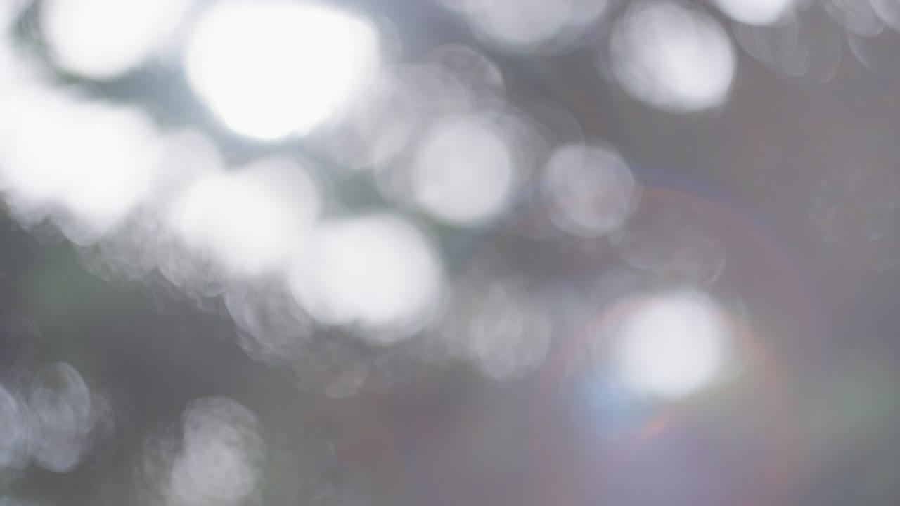 추상적인 자연 배경, 불