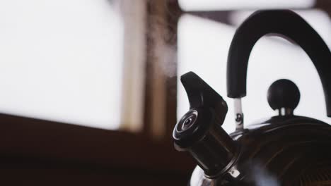 view of steam from boiling water going out of a metal kettle in a kitchen in log cabin