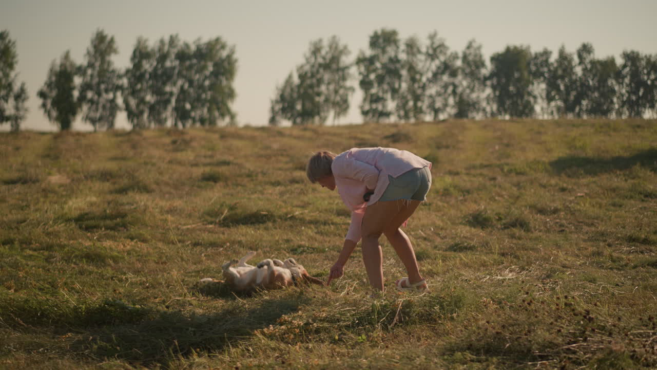 핑크색 셔츠와 쇼트를 입은 동물 강사는 개를 훈련시켜 농경지에서 굴러가며, 개는 흥분하여 혀를 내밀고 명령을 따르고, 밝은 빛의 날, 먼 나무의 배경으로