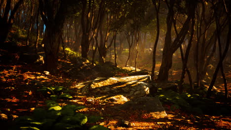profunda jungla tropical en la oscuridad