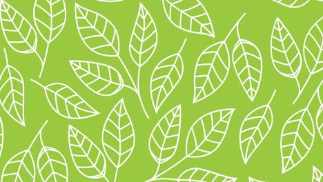 animación de hojas blancas sobre un fondo verde