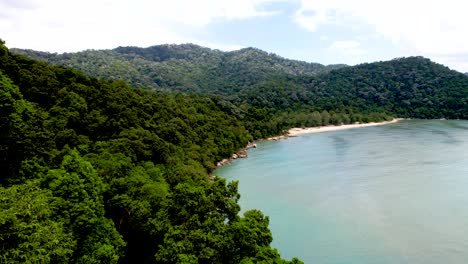 Una-Toma-Aérea-De-La-Exuberante-Selva-Verde-Exótica-De-La-Costa-Salvaje-En-El-Parque-Nacional-De-Penang,-Malasia