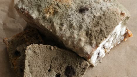 moldy bread rotating, turning round, from above