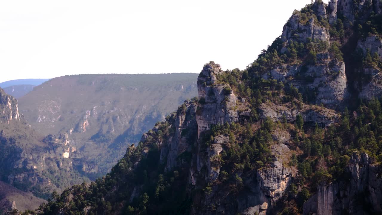 dramatic steep cliff face with trees flourishing at all heights in France