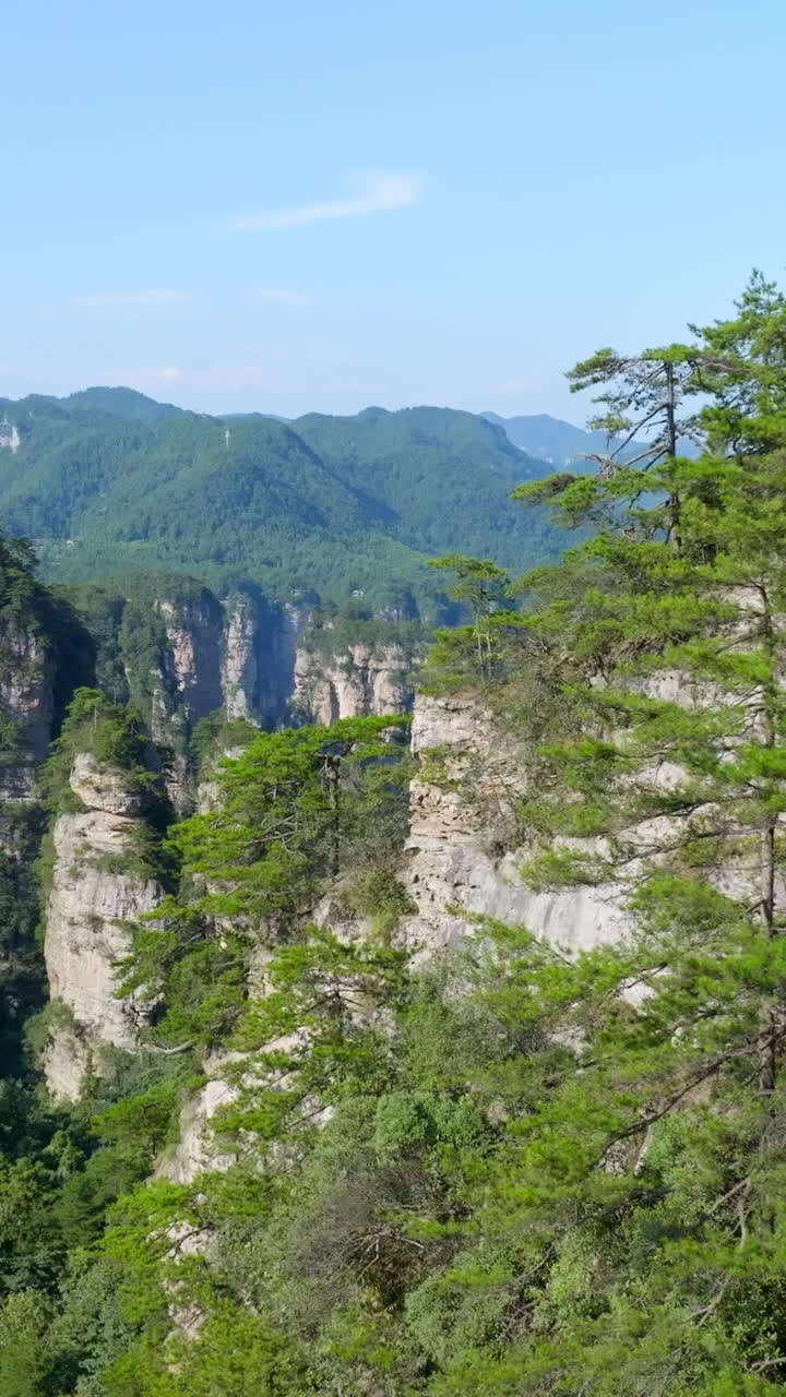 Vertical aerial passing trees in middle of towering mountains in Zhangjiajie, China