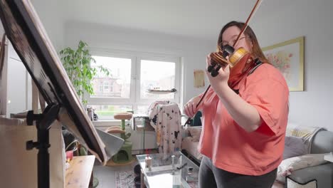 artistic entertainment, learning string instrument at home, slow motion