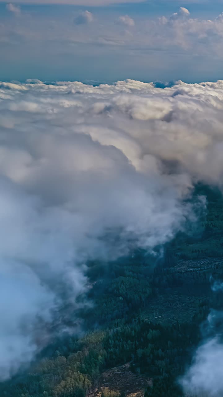 Clouds drift across sky in tranquil vertical timelapse above dense forest and soft terrain