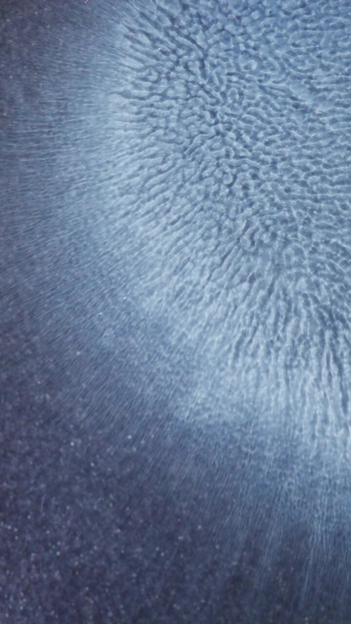 Blue ink spreads and forms organic, cellular patterns on a white surface in macro view