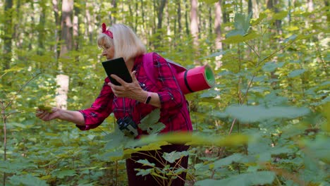 active senior elderly grandmother adventurer exploring forest trees, plants with her digital tablet