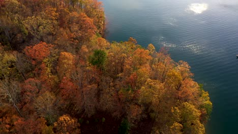 a beautiful flyover of fall foliage at lake lanier in georgia