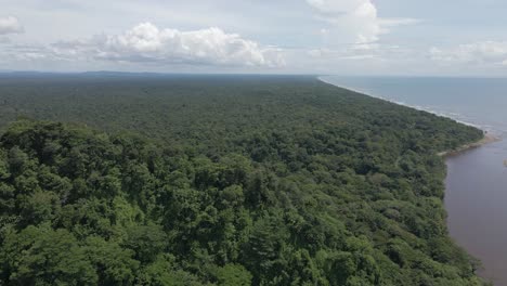 Aerial View of Lush Rainforest Coastline