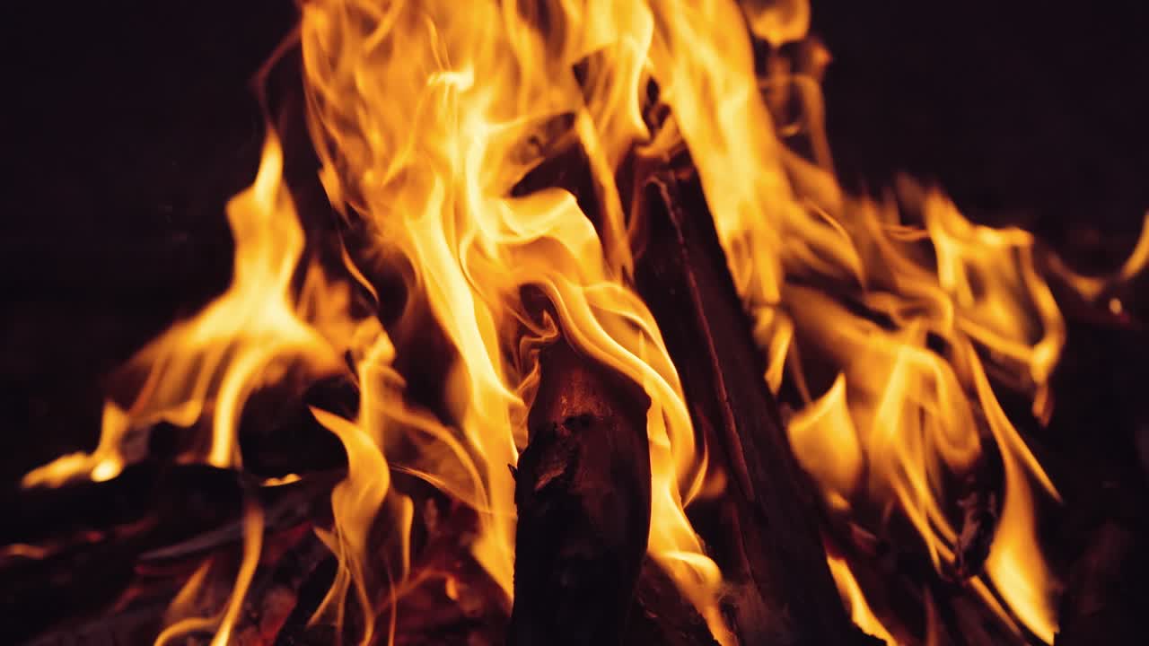 Burning Wood. Outdoor wood campfire burning brightly at night forest with sparks.