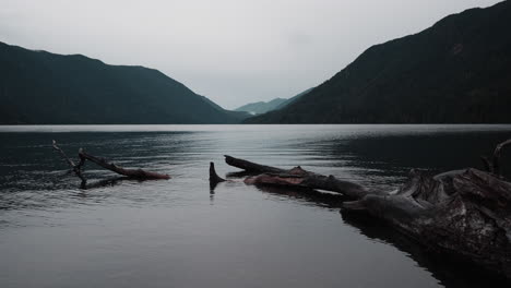 views of lake crescent on a cloudy autumn day. gentle waves ripple under moody skies, framed by mountains and vibrant fall trees.