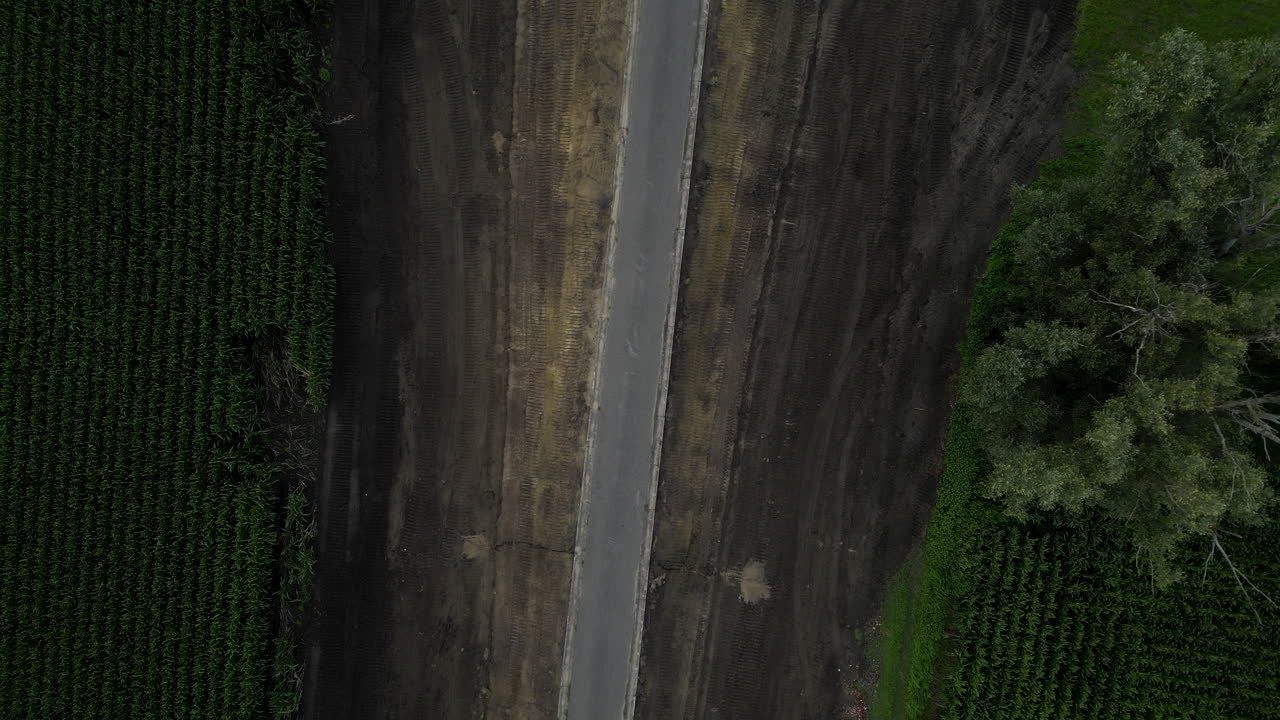 Nuova strada costruita in mezzo ai campi agricoli, vista dall'alto