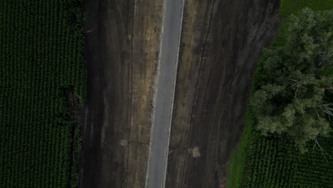 new road built in middle of agriculture fields, top-down view