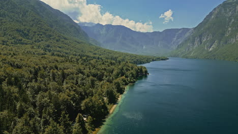 Aerial-dolly-along-conifer-trees-on-edge-shoreline-of-Lake-Bohinj-Slovenia