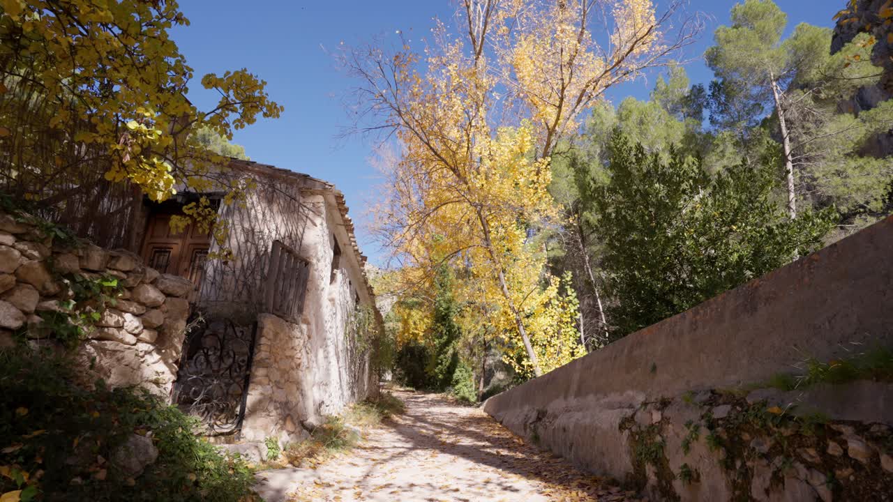 camino en el bosque mediterráneo con álamos, árboles, pasando cerca de una cabaña de piedra