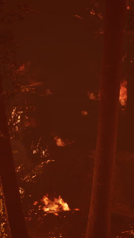 incendio forestal