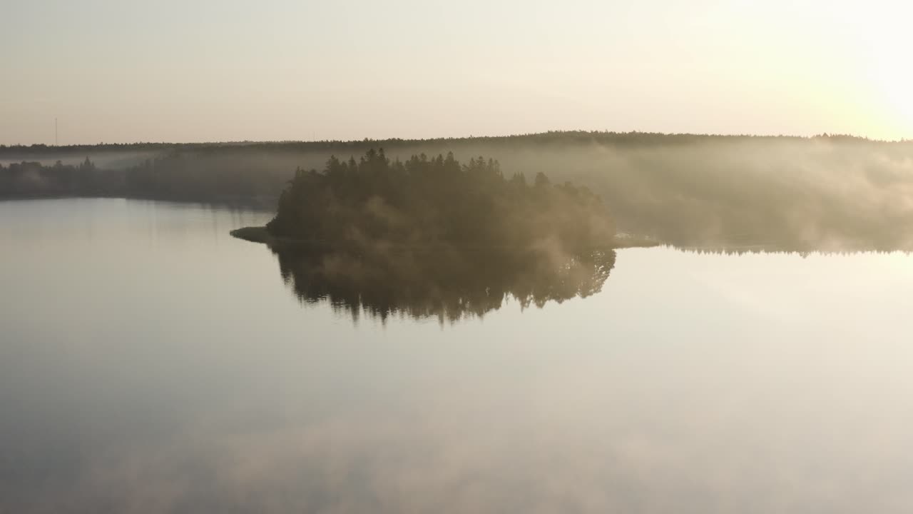 백그라운드에서 숲과 스칸디나비아 호수 위의 안개 낀 아침의 공중