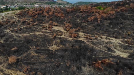 burned land on hills near city, black devastated surface with burnt trees and grass