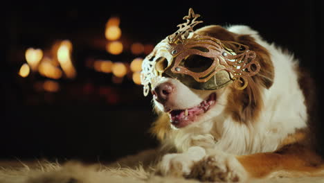 a dog in a carnival mask lies by the fireplace holiday theme with pets