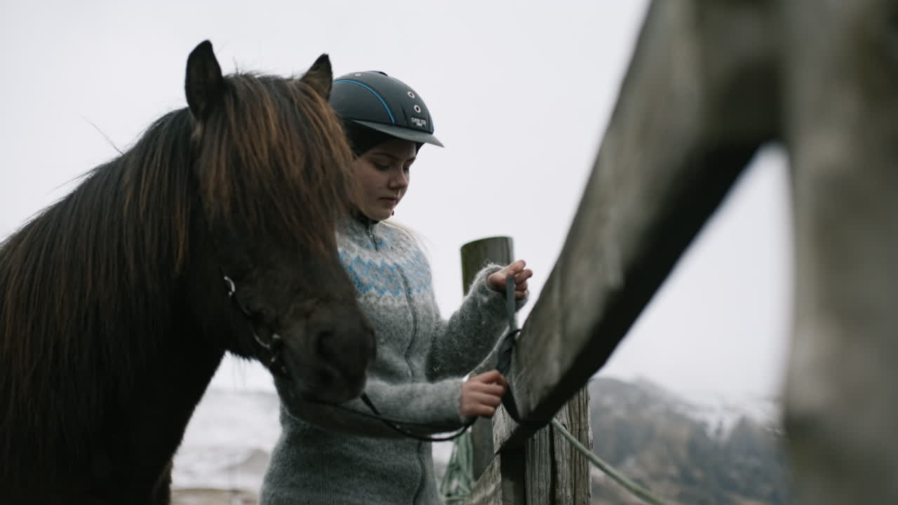 Woman interacting with Icelandic Horse near a fence