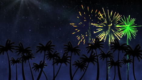 Colourful-fireworks-over-palm-trees