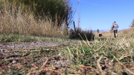 hombre y perro corren a lo lejos