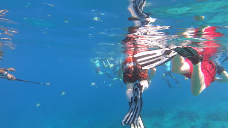 tourists enjoying snorkeling in deep blue ocean and filming with underwater cameras | tourists snorkeling on surface of water using snorkeling gears in blue ocean, enjoying tour and filming fishes