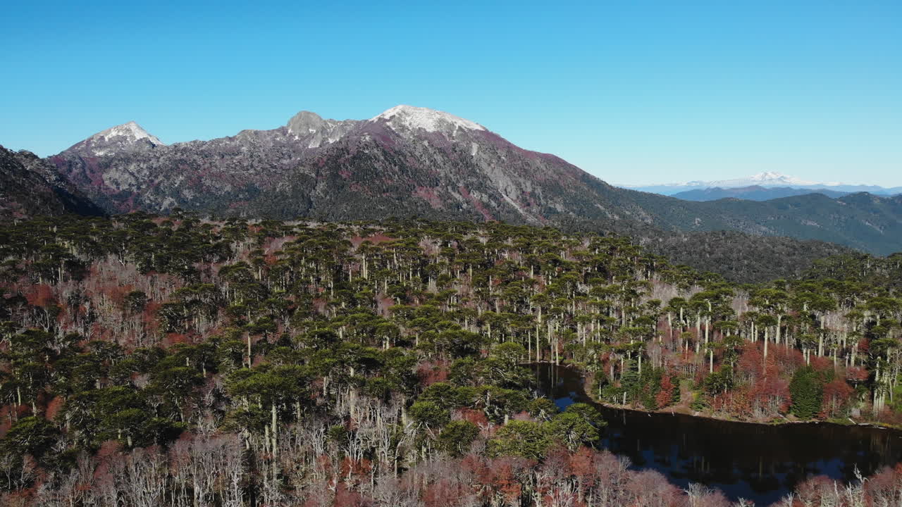 Aerial View of Mountains, Lake, and Araucaria Forest