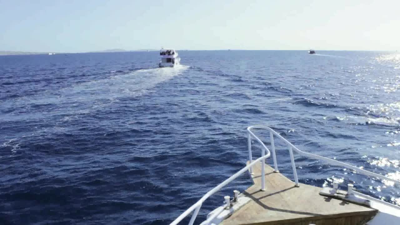 홍해 여행 이집트의 레저