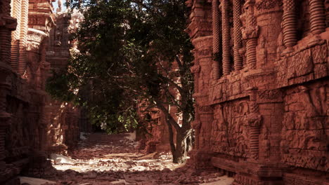 ancient ruins in a tropical jungle