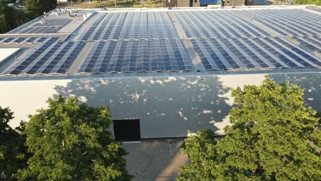 Jib-up-behind-green-trees-and-revealing-solar-panels-on-top-of-industrial-building