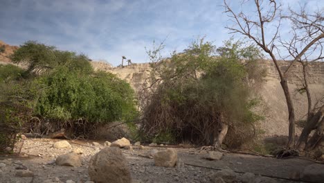 mountains ein gedi en gedi israel biblical site