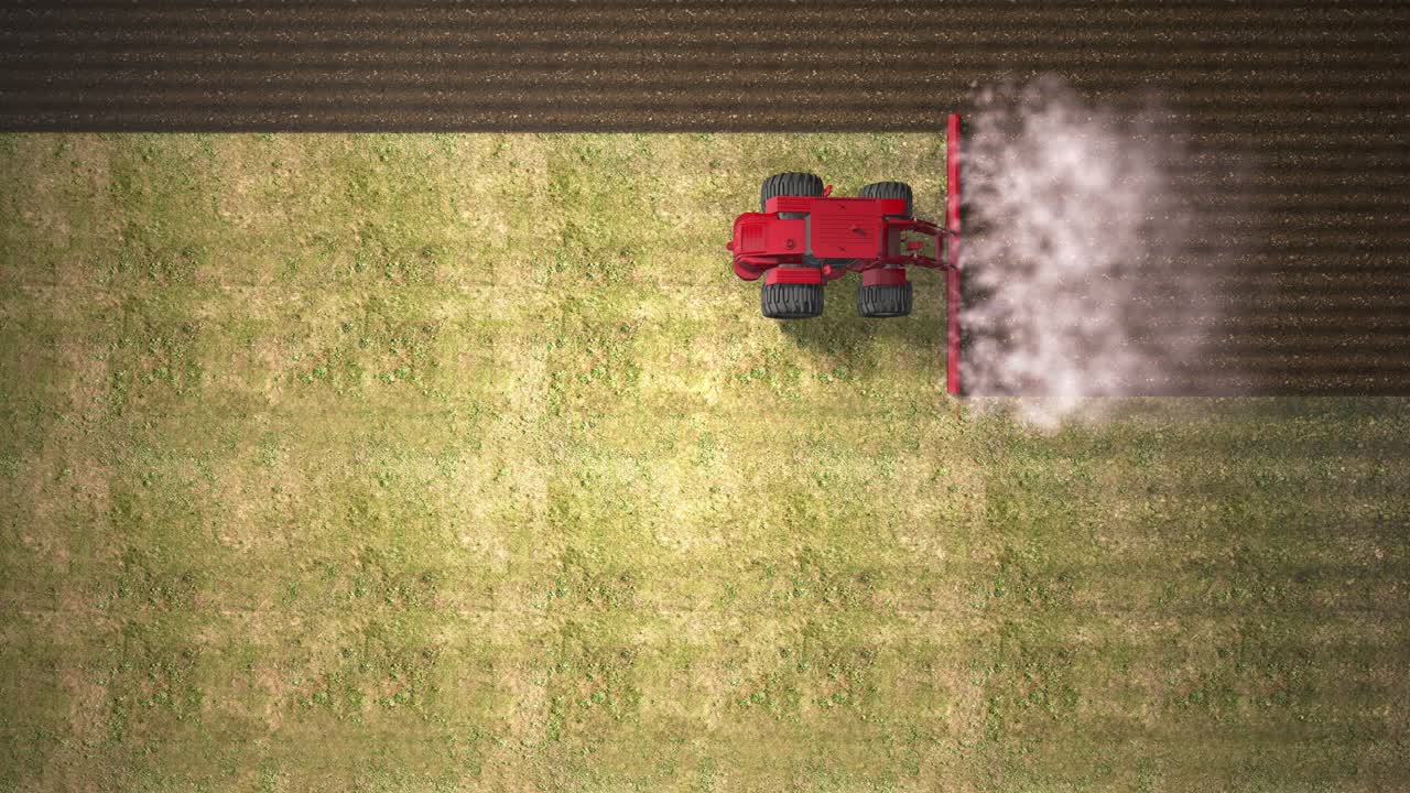 una vista de pájaro de una cosechadora combinada. cosecha de un campo de trigo. personal industrial sobre el tema agrícola. animación realista. bucle de video. arar la tierra