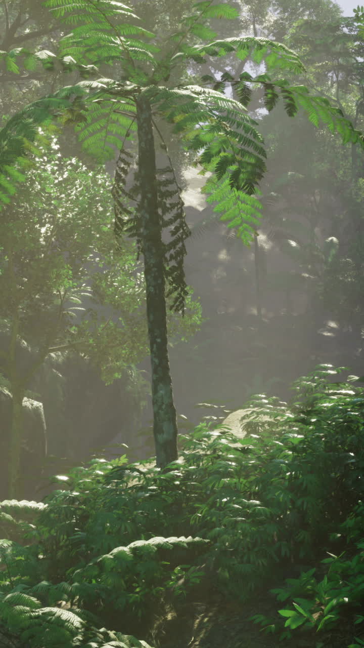 Lush tropical forest with sunlight filtering through the trees in the morning