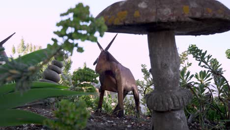 Decoraciones-De-Figuras-De-Alces-Y-Hongos-En-El-Jardín