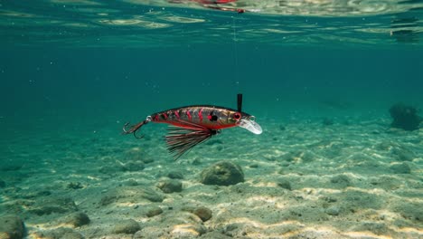 an underwater scene featuring a colorful fishing lure gracefully suspended in crystal clear waters with a sandy bottom, capturing the stillness and beauty of ocean life