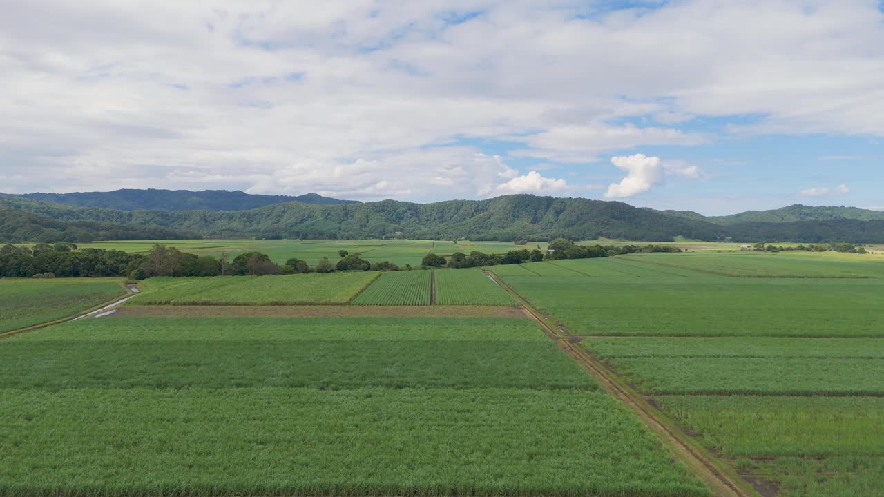 campos verdes exuberantes con montañas lejanas