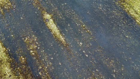 aerial fly over of a muddy field