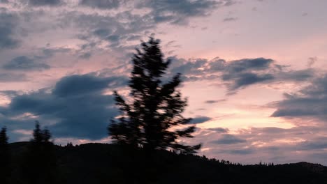 在前景中,一棵松树飞过山上夕阳的空中放大镜头