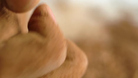 closeup of madder powder, spiritual medical healing alternative and dye in india and pakistan
