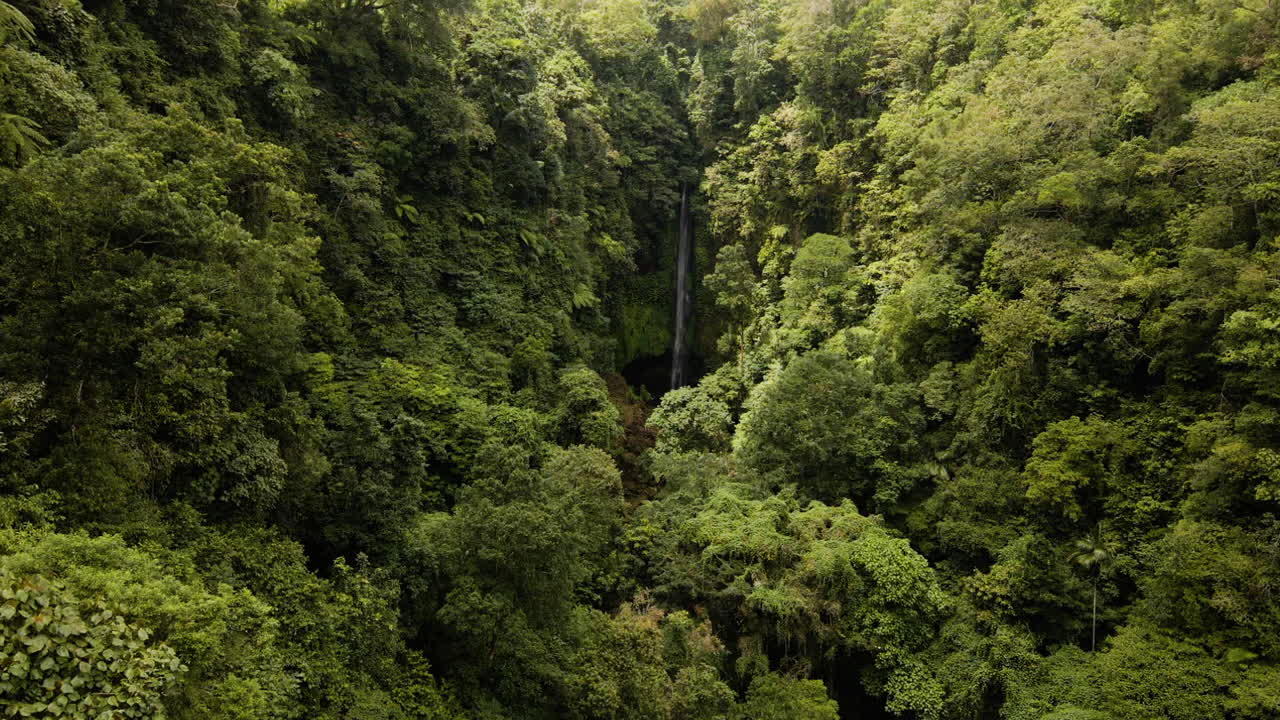 Vista aerea della cascata Pucak Manik nella lussureggiante foresta verde a Bali, Indonesia - ripresa con drone