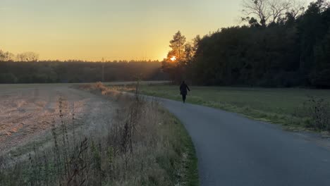 Rückansicht-Einer-Frau,-Die-Bei-Sonnenuntergang-Langsam-Allein-Auf-Der-Straße-Geht-–-Totalaufnahme