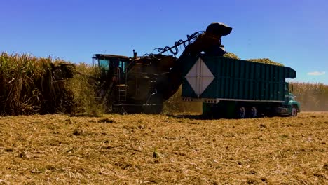 Machinery-harvesting-cane-in-Ameca,-Jalisco.-Mexico