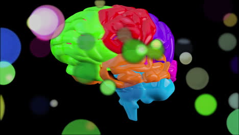 animación en 3d de color brillante del cerebro humano girando sobre un fondo negro