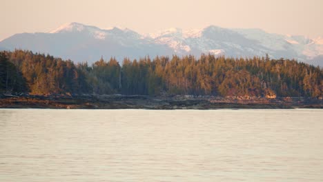 sunset setting in great bear rainforest, canada