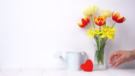 female florist puts fresh tulip flowers in a glass vase and making floral arrangements at home. mother's day decorating concept on white clean rustic background, 4k uhd video shot.