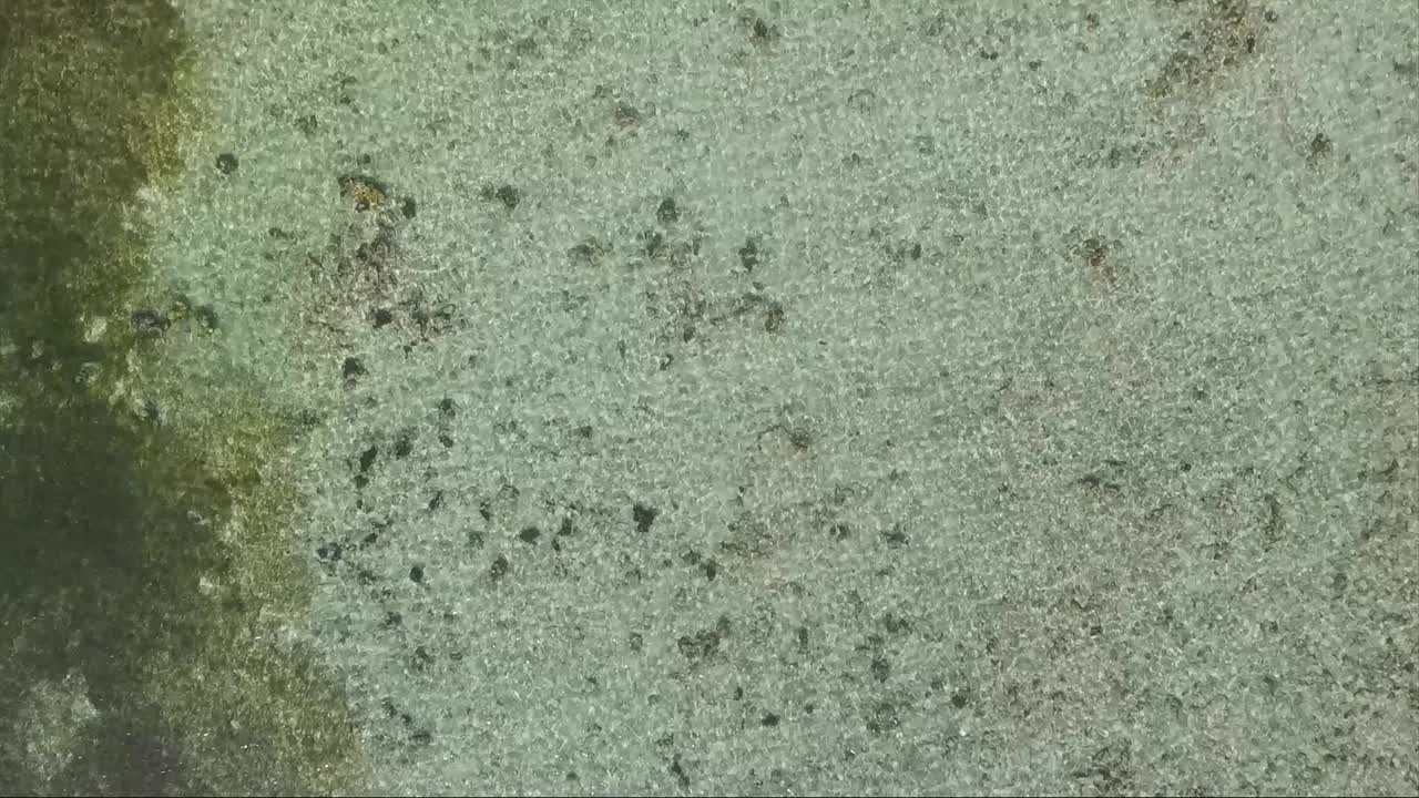 volando sobre el agua cristalina del océano caribeño