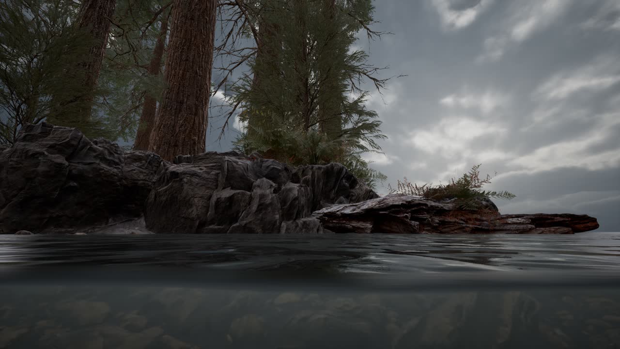 medio bajo el agua en el mar del norte con rocas